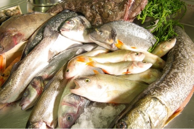 Samedi 21 février à Rauwiller  - Cuisiner et sublimer le poisson de trois manières
