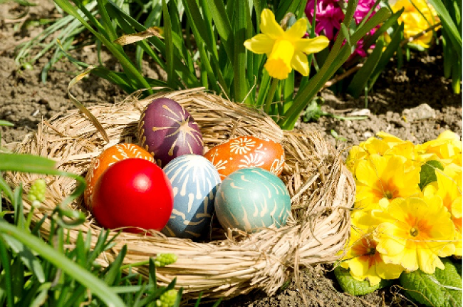 Samedi 21 mars à Rauwiller  - Pâques « saveurs nouvelles »