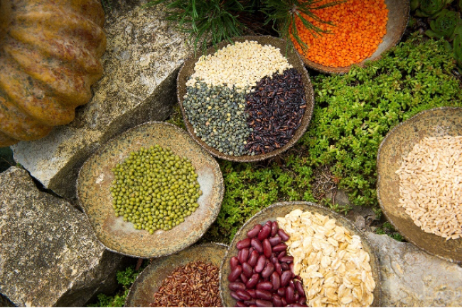 Mardi 21 avril à Marlenheim  - Cuisinons les céréales, maïs et riz